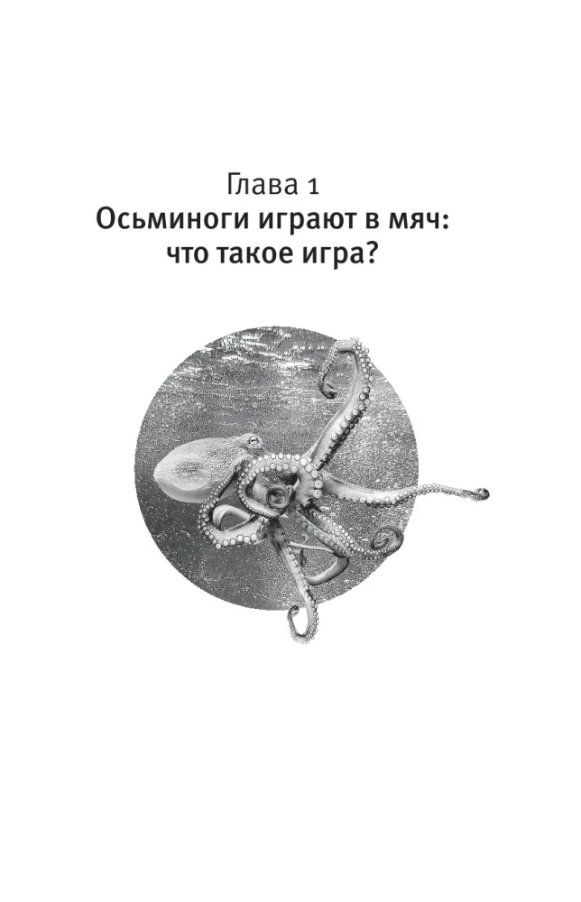 Царство игры